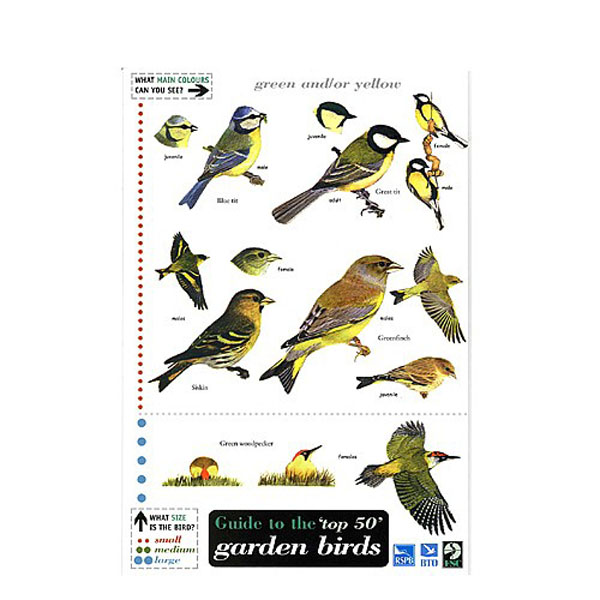 Field Guide to Garden Birds