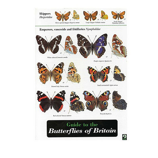 Field Guide Butterflies of Britain