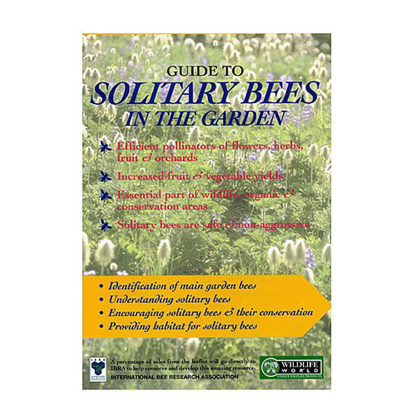Guide Solitary Bees in the Garden
