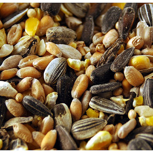 Bird Table Mix - 12.75kg