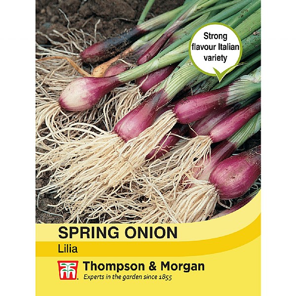Thompson & Morgan Spring Onion Lilia