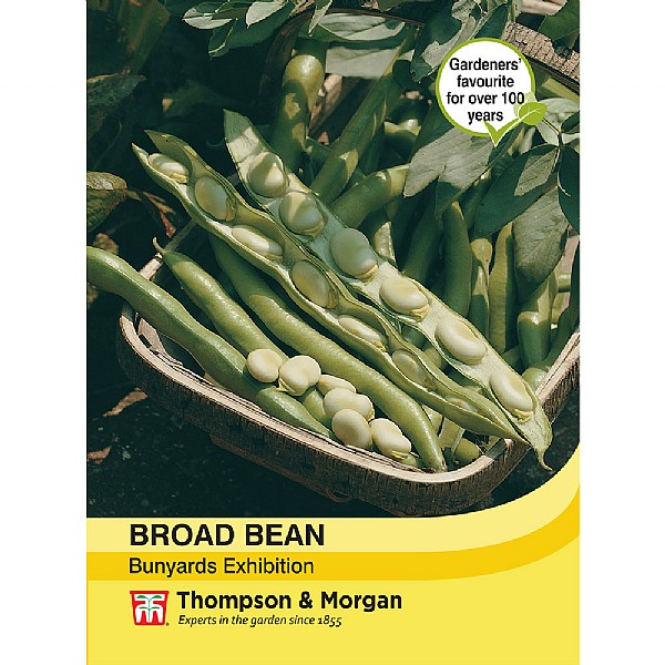 Thompson & Morgan Broad Bean Bunyards Exhibition Seeds