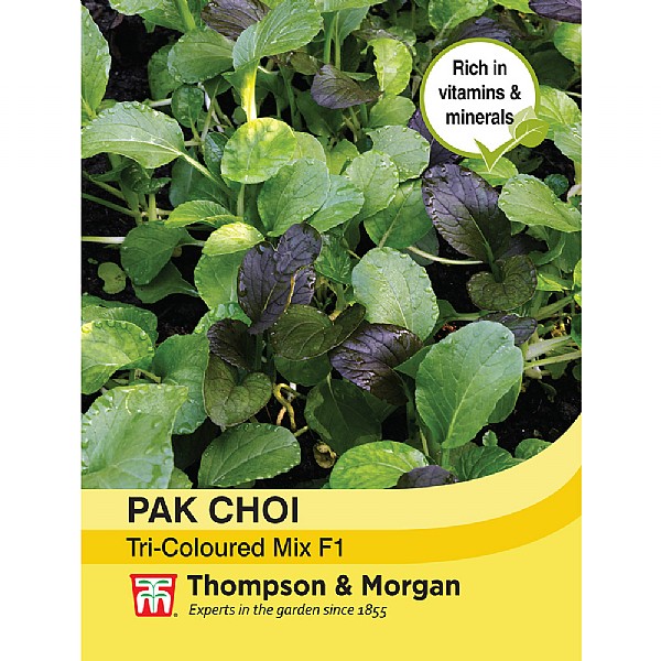 Thompson & Morgan Pak Choi (Chinese Cabbage) Tricoloured Mix F1 Hybrid