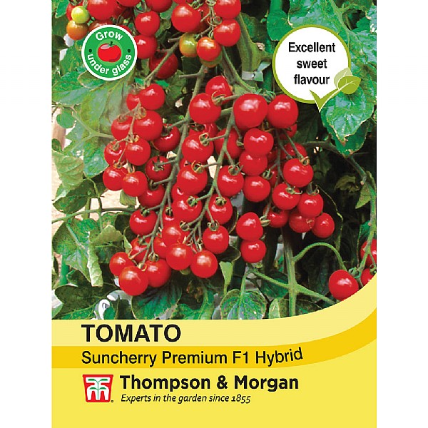 Thompson & Morgan Tomato Suncherry Premium F1 Hybrid Seeds