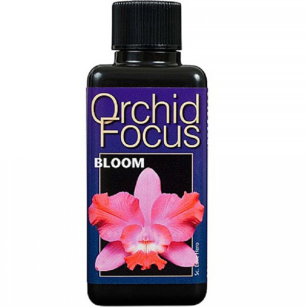 100ml Orchid Focus Bloom
