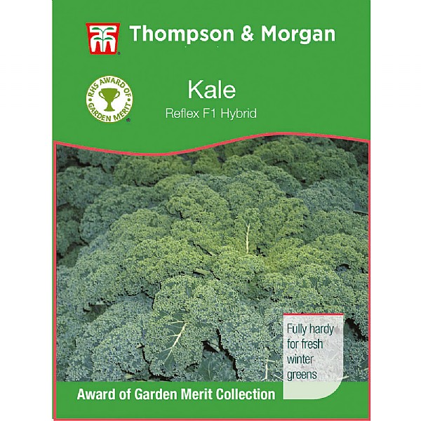 Thompson & Morgan Award of Garden Merit Kale Reflex