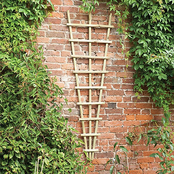 Forest Garden Traditional Trellis (Various Sizes) Garden Trellis bs Garden Centre