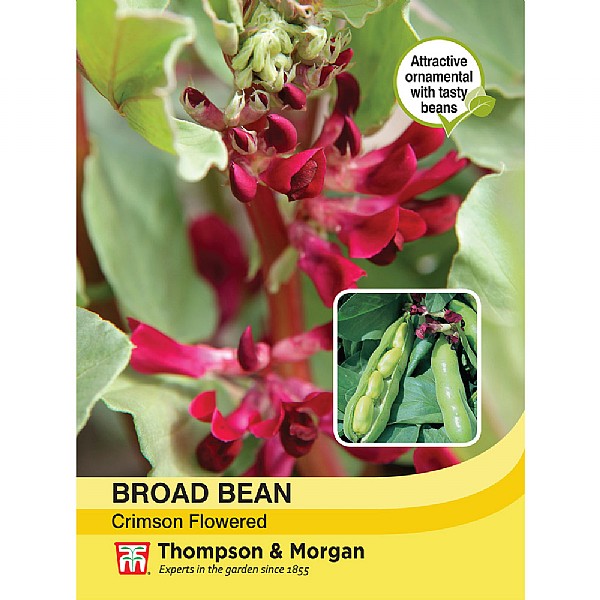 Thompson & Morgan Broad Bean Crimson Flowered Seeds