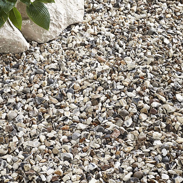 40mm top shingle wickes