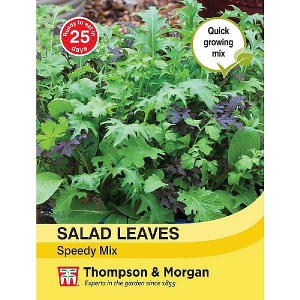 Salad & Lettuce Seed Vegetable Seeds from bs Direct Online