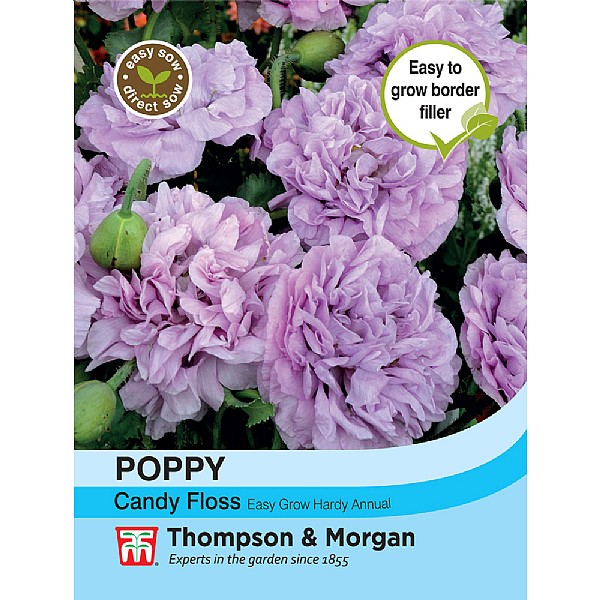 Thompson & Morgan Poppy Candy Floss