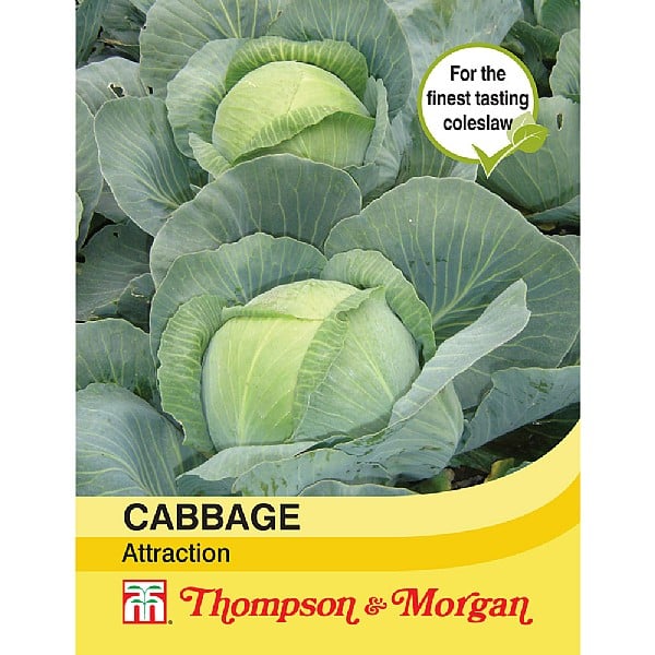 Thompson & Morgan Cabbage Attraction Seeds