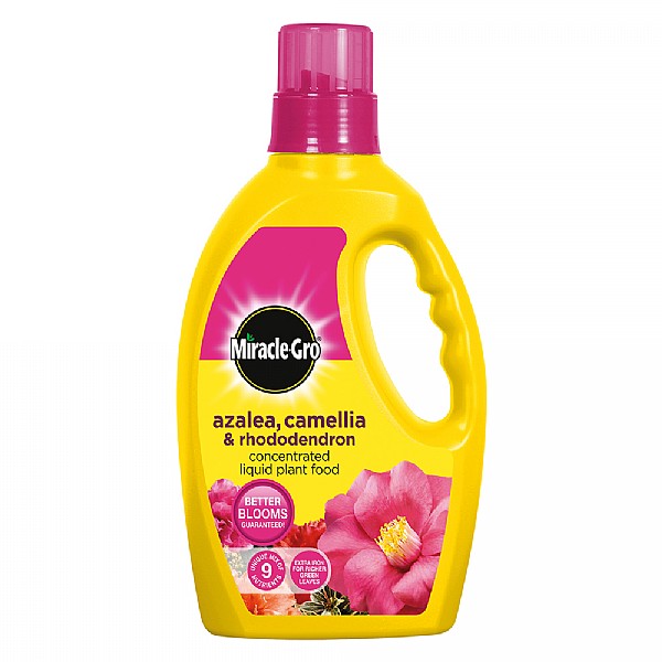 Miracle-Gro Ericaceous Liquid Plant Food 1L