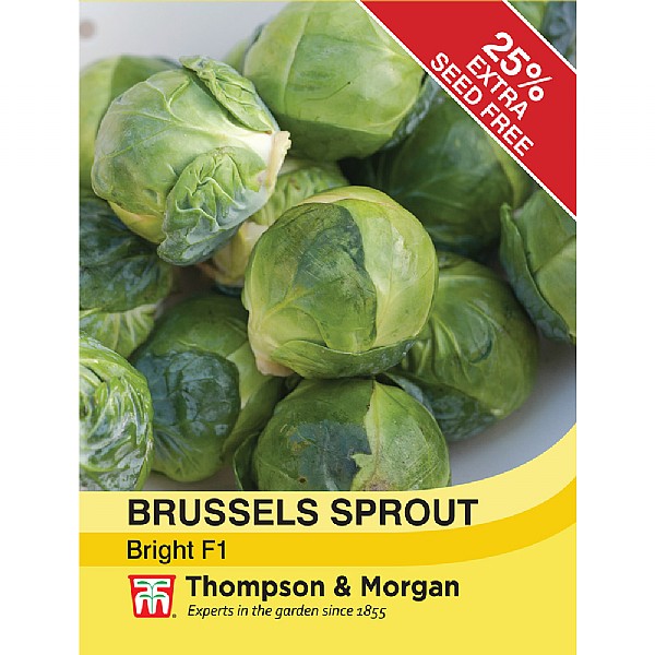 Thompson & Morgan Brussels Sprout Bright F1 Hybrid