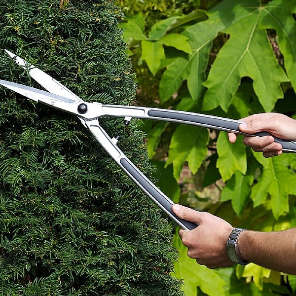 Burgon Ball RHS Precision Shear