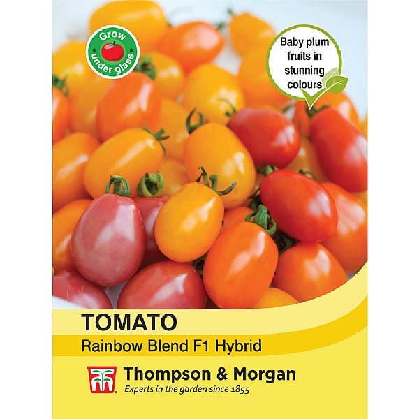 Thompson & Morgan Tomato Rainbow Blend F1 Hybrid Seeds
