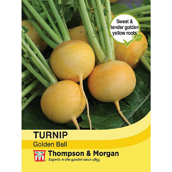 Thompson & Morgan Turnip Golden Ball