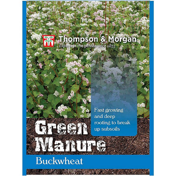 Thompson & Morgan Green Manure Buckwheat Seeds