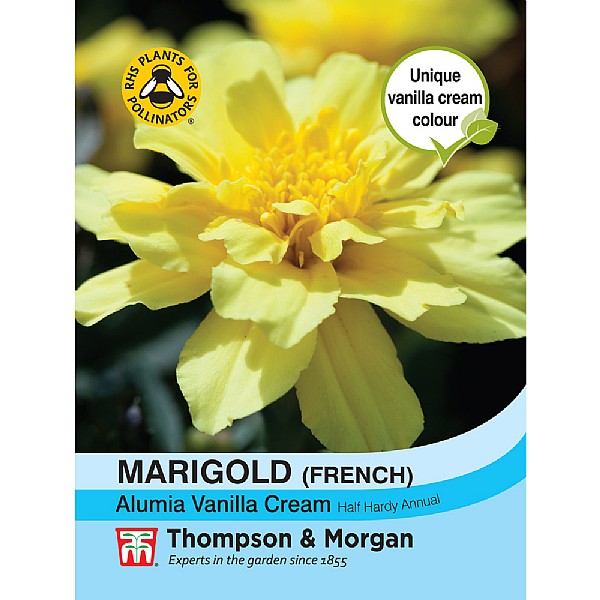 Thompson & Morgan Marigold Alumia Vanilla Cream (French)