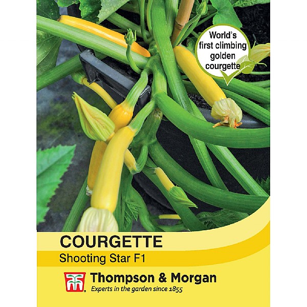 Thompson & Morgan Courgette Shooting Star