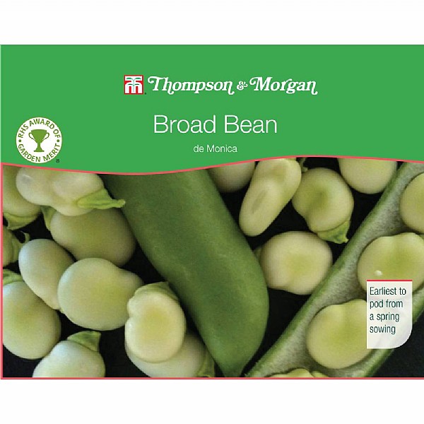 Thompson & Morgan Award of Garden Merit Broad Bean De Monica