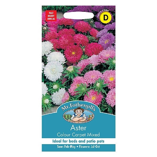 Mr Fothergills Aster Colour Carpet Mixed Seeds