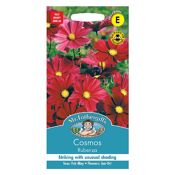 Mr Fothergills Cosmos Rubenza Seeds