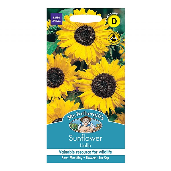 Mr Fothergills Sunflower Hallo Seeds