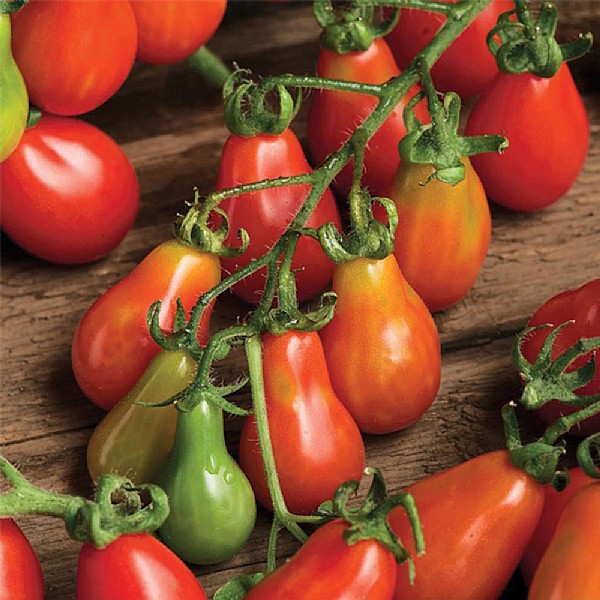 Tomato Red Pear Seeds