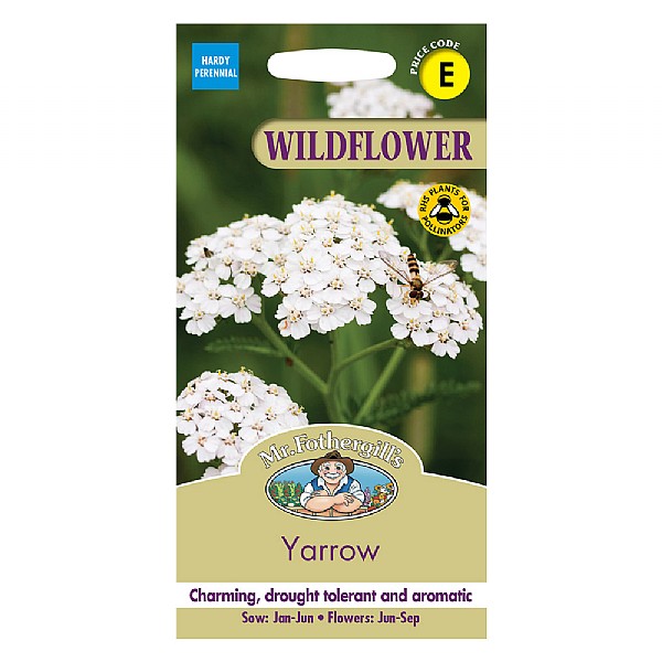 Mr Fothergills Wild Flower Yarrow Seeds