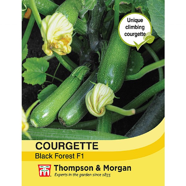 Thompson & Morgan Courgette Black Forest F1 Hybrid