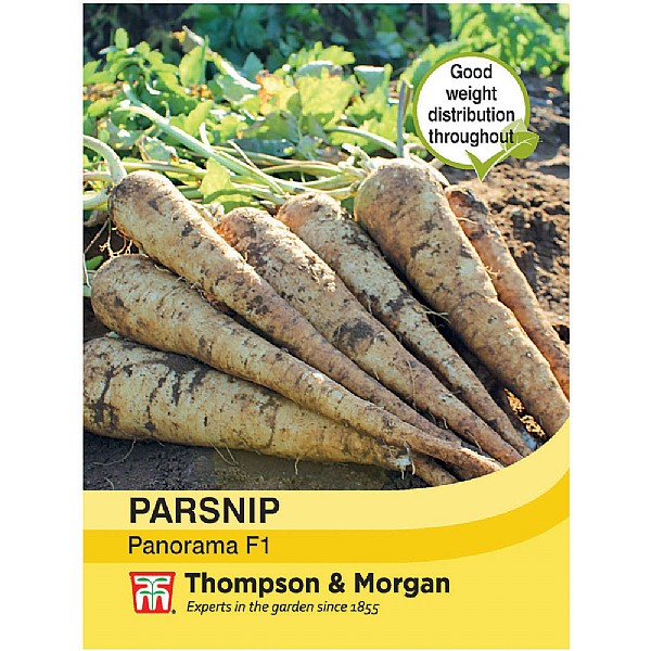Thompson & Morgan Parsnip Panorama F1 Hybrid Seeds