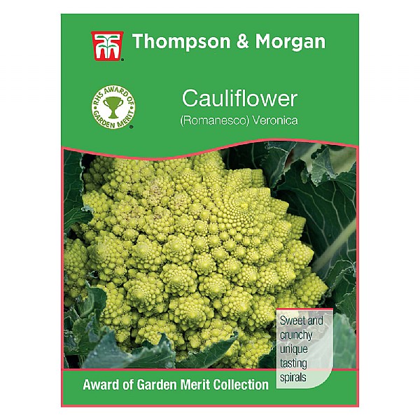 Thompson & Morgan Award of Garden Merit Cauliflower Romanesco Veronica F1 Hybrid