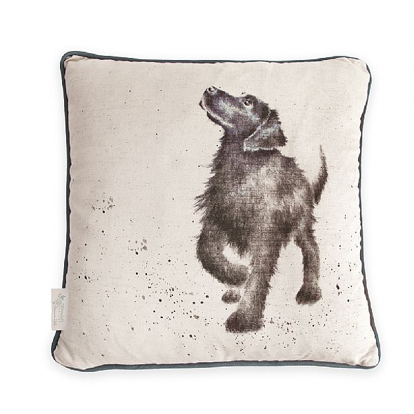 Wrendale 'Treat Time' Dog Cushion 40cm