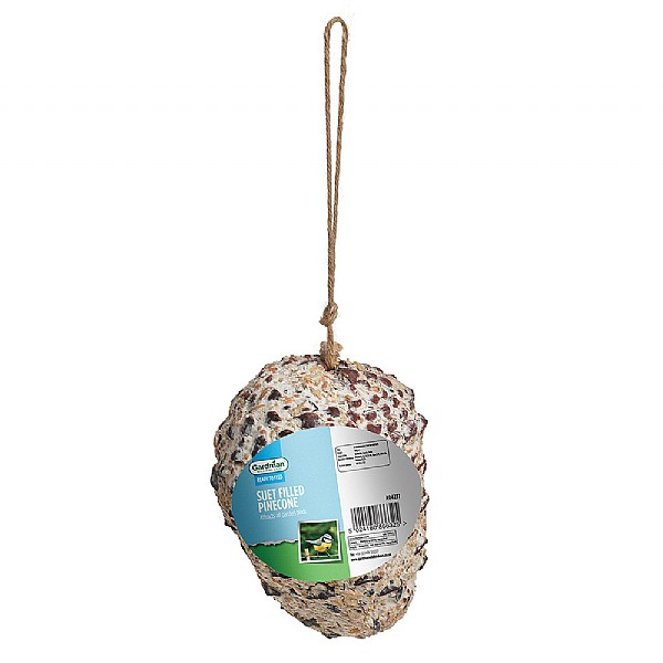 Suet Filled Pinecone