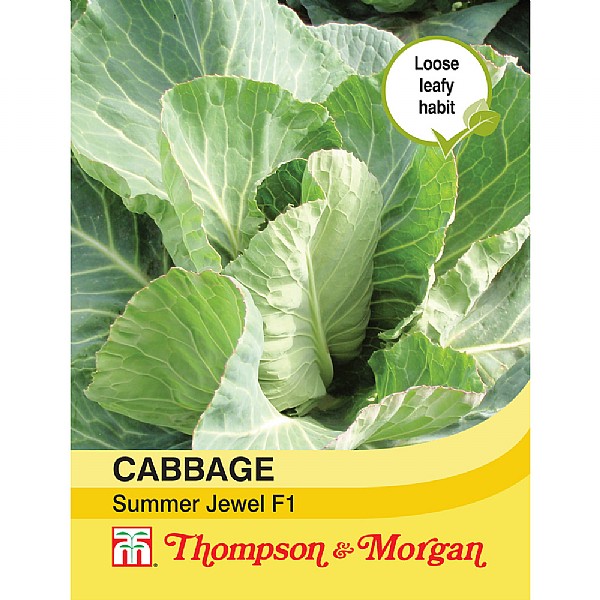 Thompson & Morgan Cabbage Summer Jewel F1 Hybrid