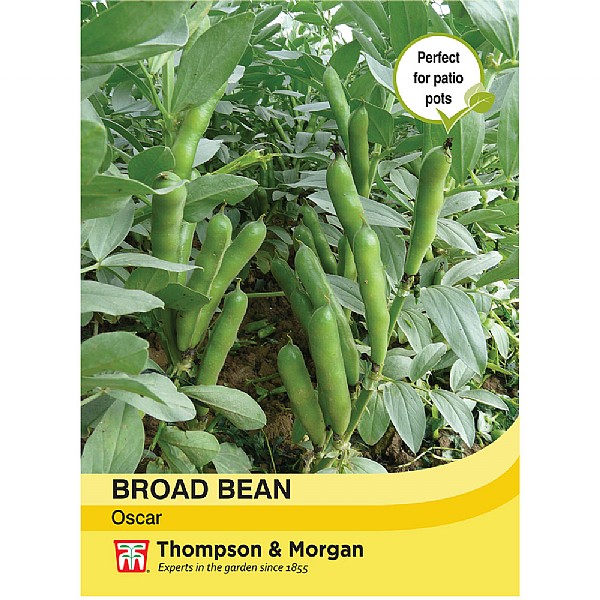 Thompson & Morgan Broad Bean Oscar Seeds