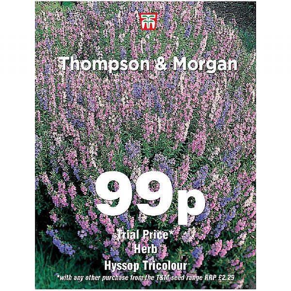 Thompson & Morgan Herb Hyssop Tricolour Seeds