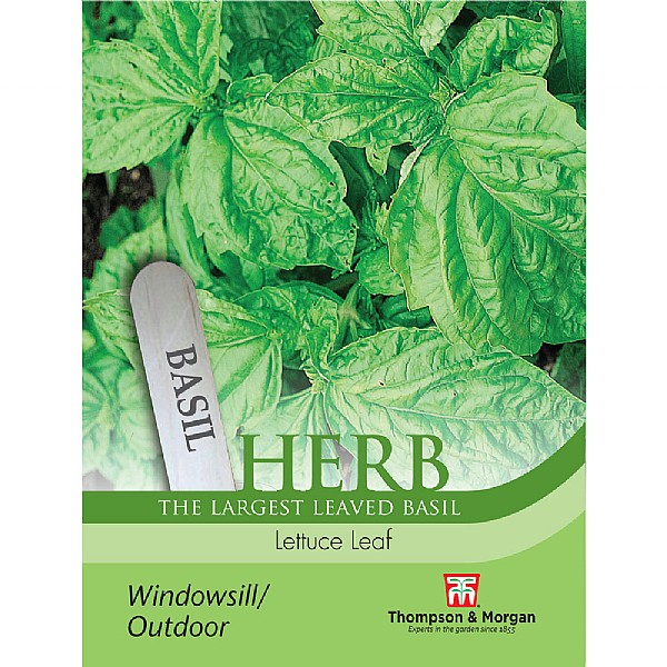 Thompson & Morgan Herb Basil Lettuce Leaf Seeds