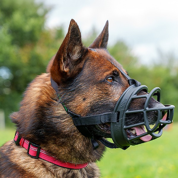 Baskerville Ultra Muzzle (Various Sizes)