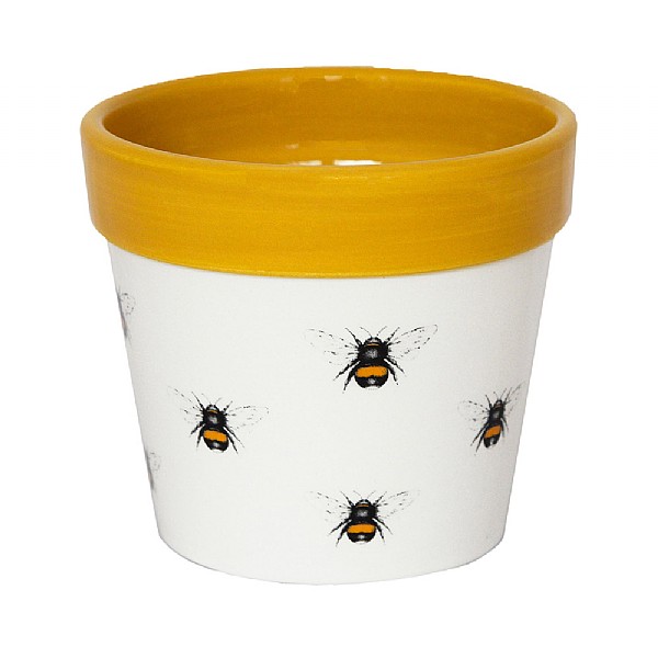 Ivyline Cacti Pot Cover Bumble Bee (Various Sizes)