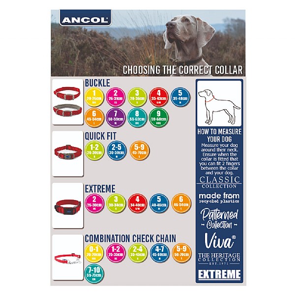 Ancol Latigo Leather Collar Havana | Dog Collars, Leads and