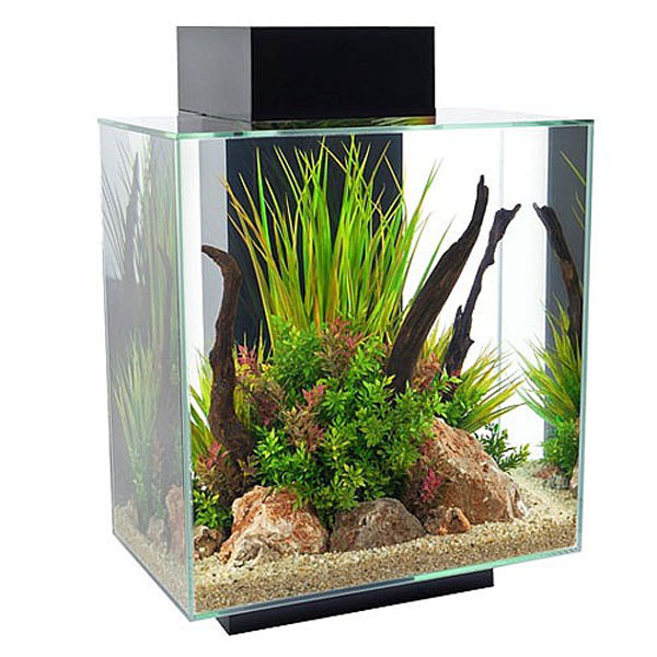 Fluval Edge 2 0 Aquarium 46 Litre Aquariums Cabinets Webbs