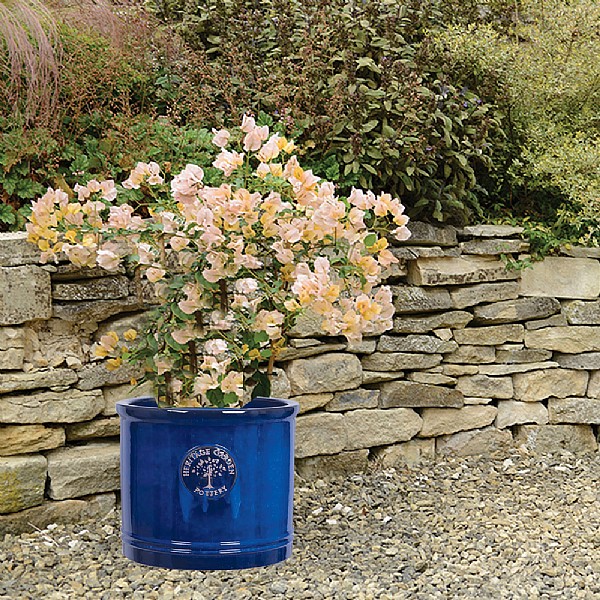 Woodlodge Heritage Edwardian Cylinder Ceramic Planter Blue (Various Sizes)