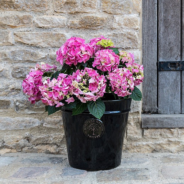 Woodlodge Heritage Edwardian Ceramic Pot Black (Various Sizes)