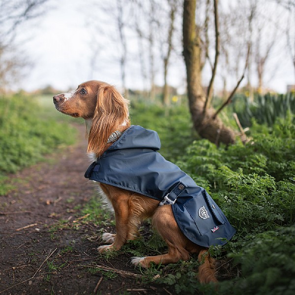 Hugo And Hudson Hk at Jeffrey Merrill blog