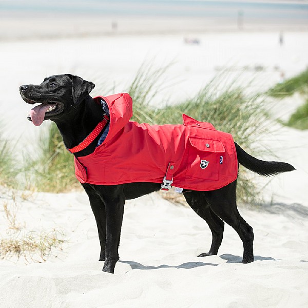 Hugo & Hudson Raincoat Red (Various Sizes) | Dog Coats & Clothing | Webbs  Garden Centre