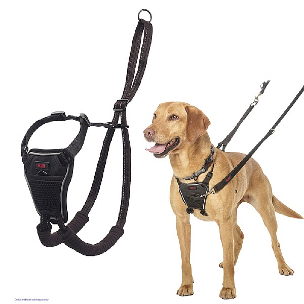 Halti No Pull Harness Black (Various Sizes)
