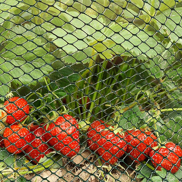 Smart Garden Multi-Mesh - Green - Various Sizes