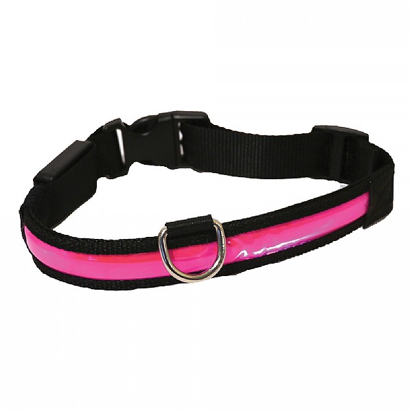 Rosewood Pink Premium Flashing Dog Collar